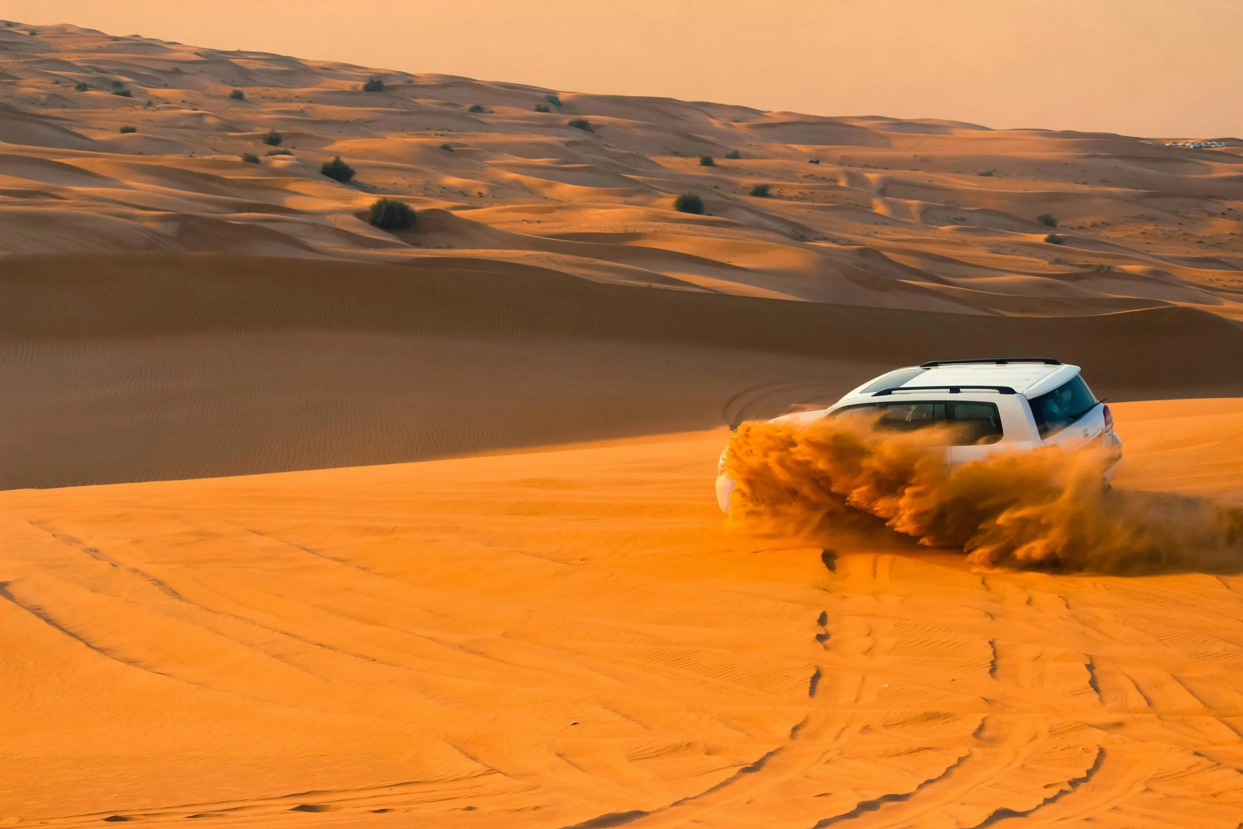 morning vs evening desert safari