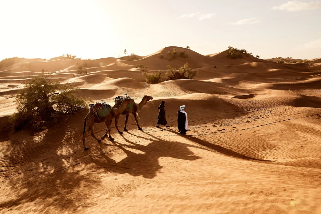 Evening Desert Safari Dubai Camel Ride Dubai