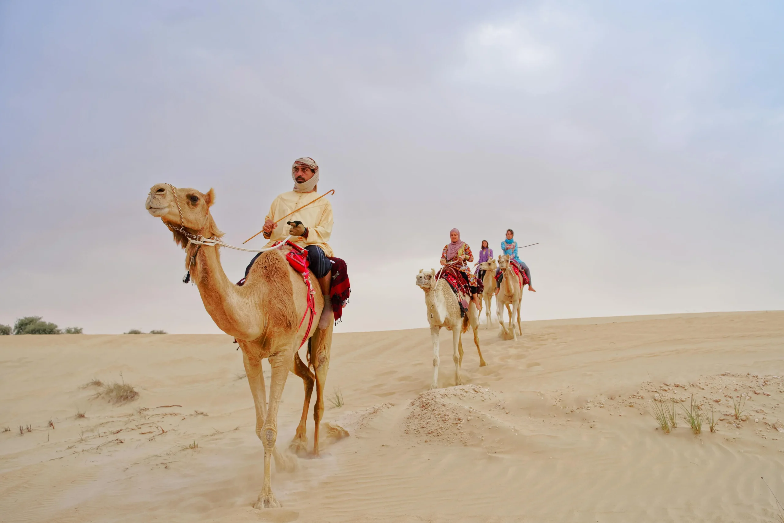 Dubai Desert Safari Deals