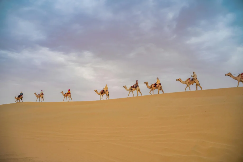 Desert Camping Safari