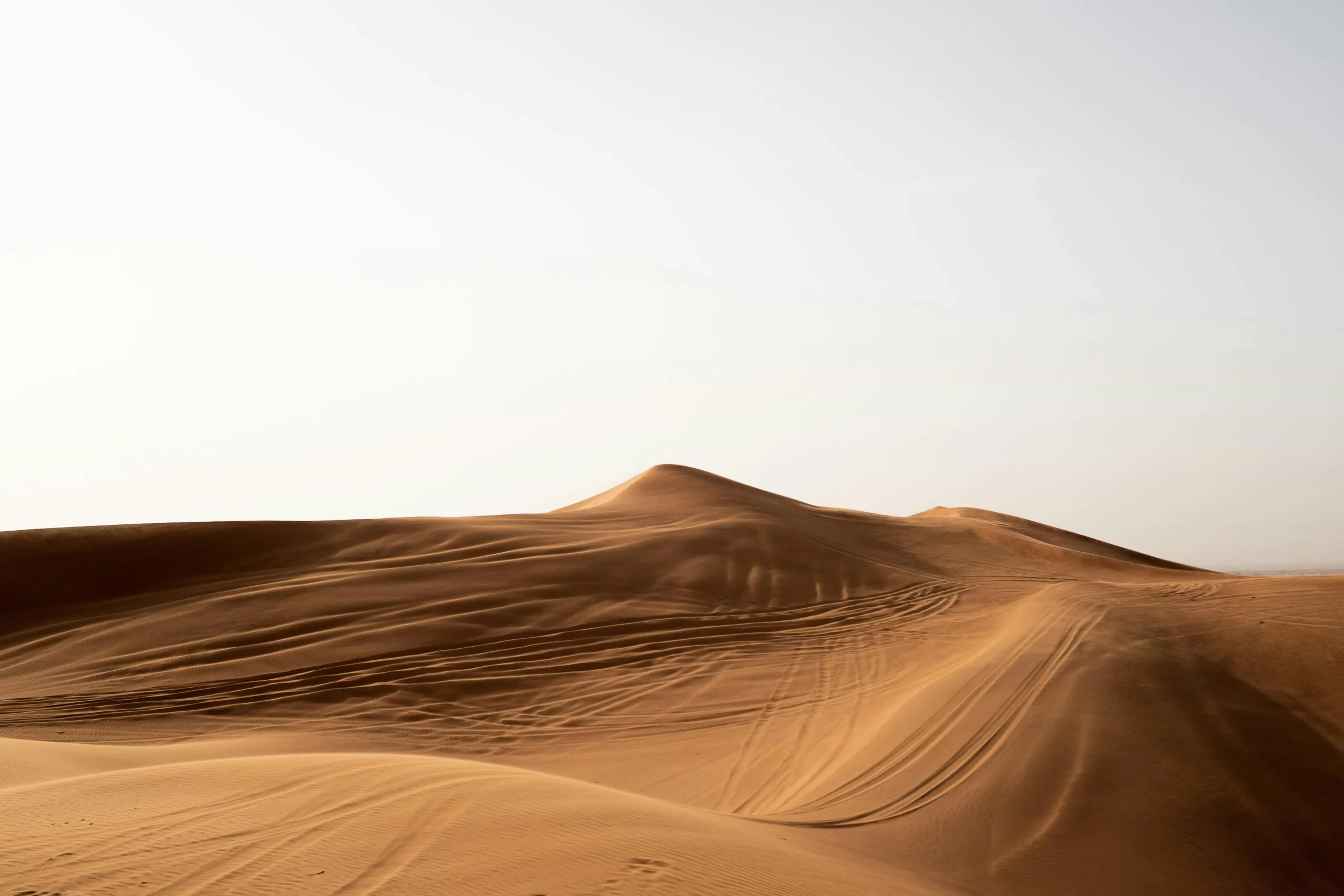 Dubai Desert Safari Deals
