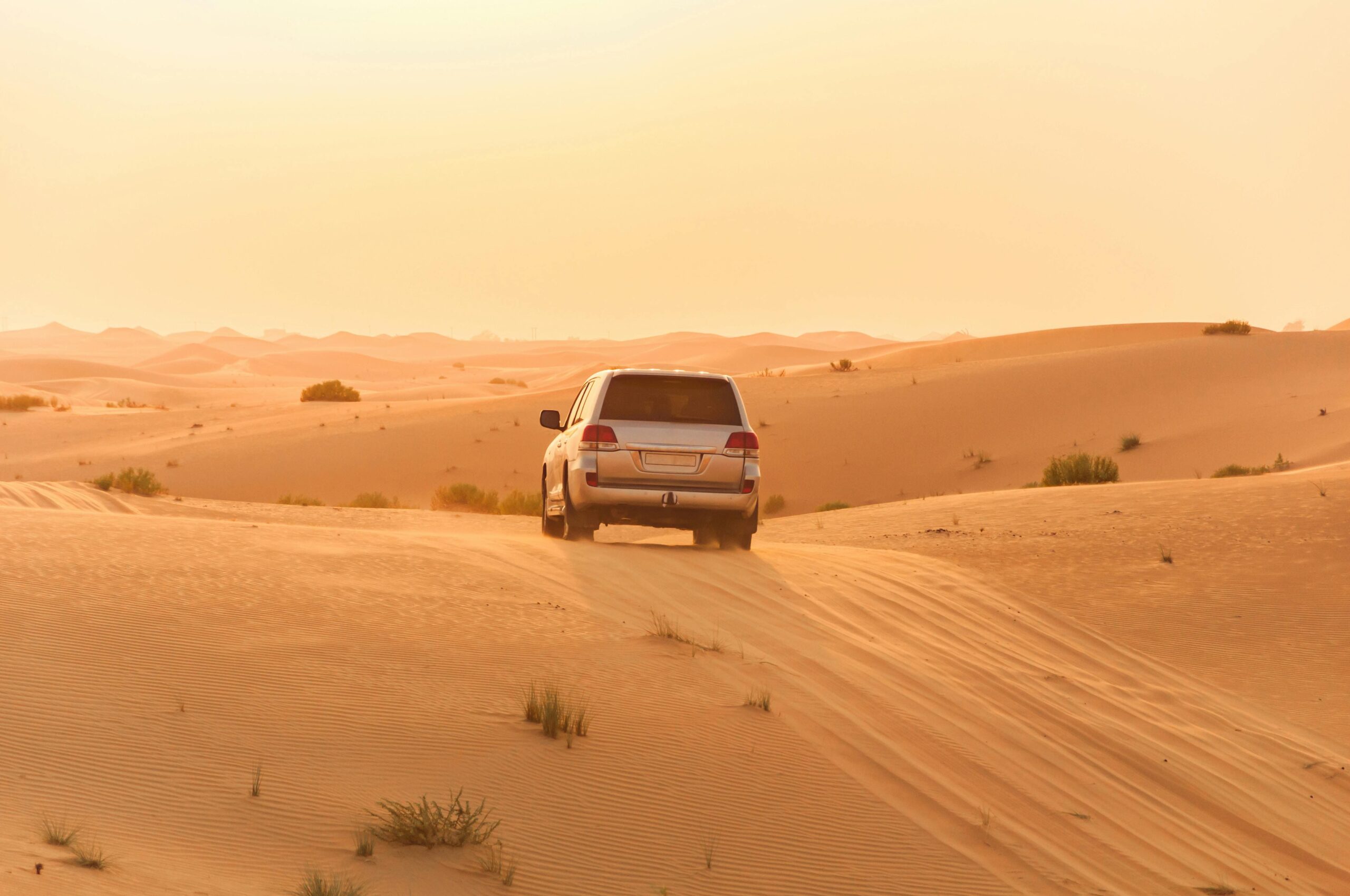 Affordable Dubai Safari Offers