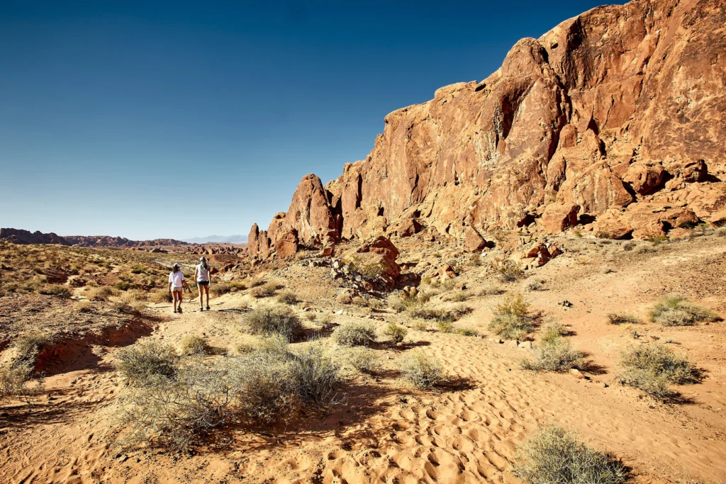 Desert Safari